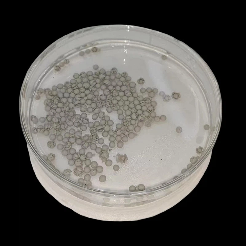 Qual é a diferença entre musgo esfagno e condicionador de solo?